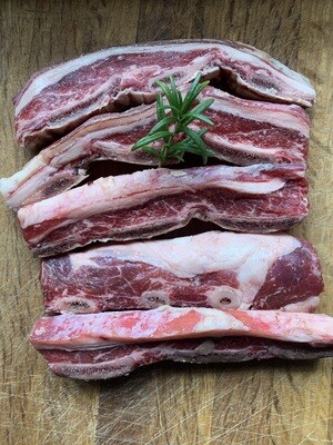 Angus Beef Short Rib
