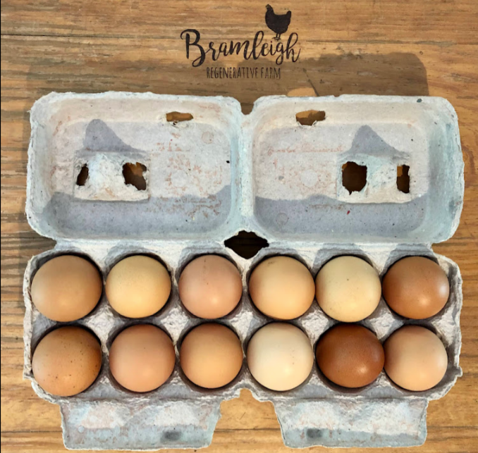 Eggs - Dozen Pasture Raised