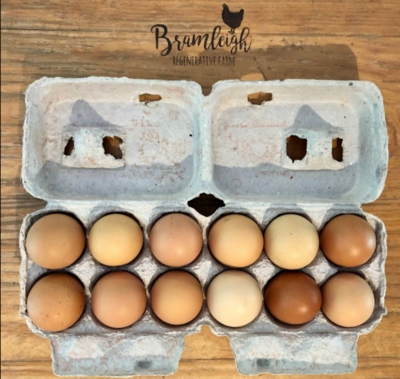 Eggs - Dozen Pasture Raised