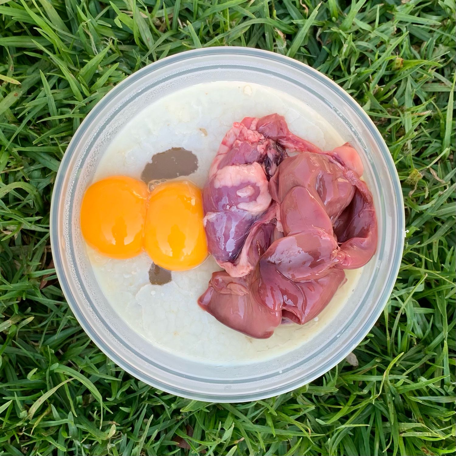 RAW Nutri-Tub for Pets