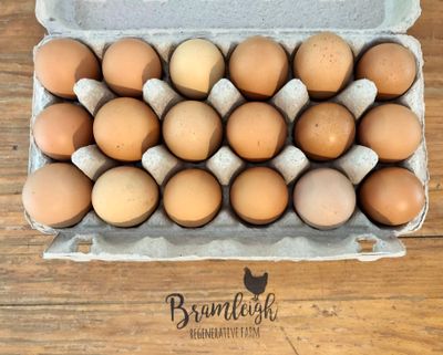 Pasture Raised Eggs
