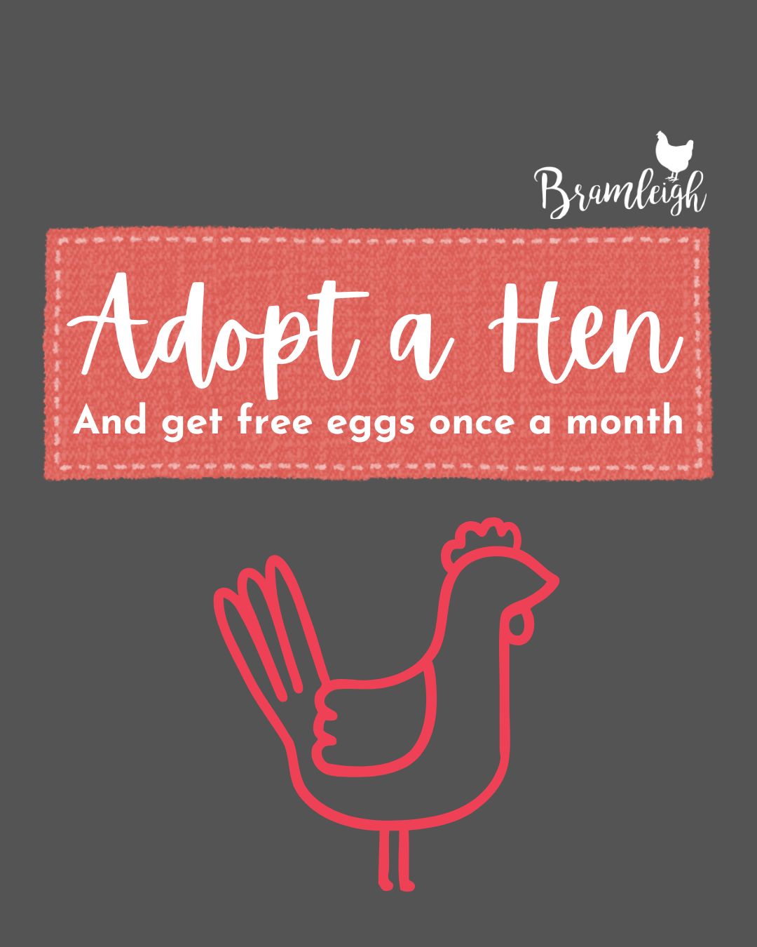 Adopt a Hen - October