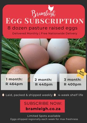 3 Month Egg Subscription - 8 dozen per month