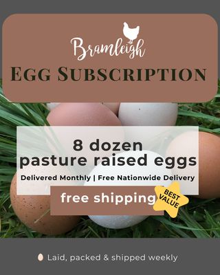 1 Month Egg Subscription - 8 dozen once off