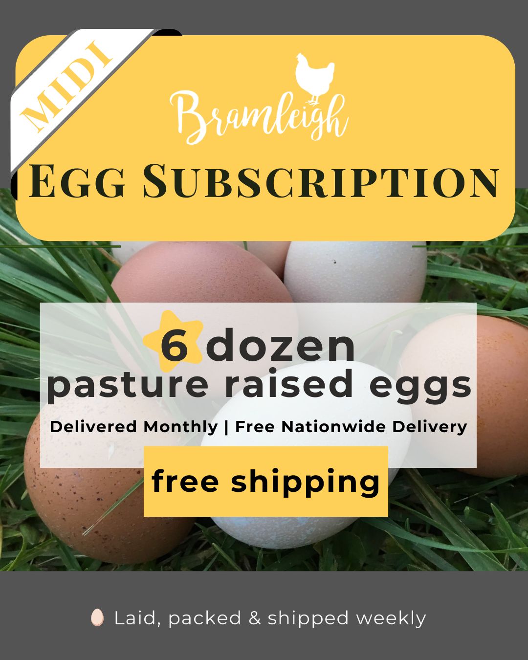 1 Month Egg Subscription MIDI - 6 dozen once off