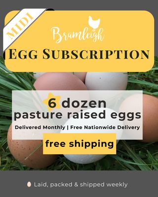 1 Month Egg Subscription MIDI - 6 dozen once off