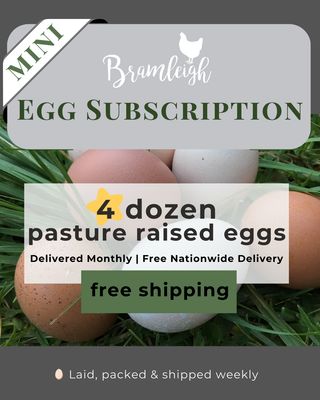 1 Month Egg Subscription MINI - 4 dozen once off