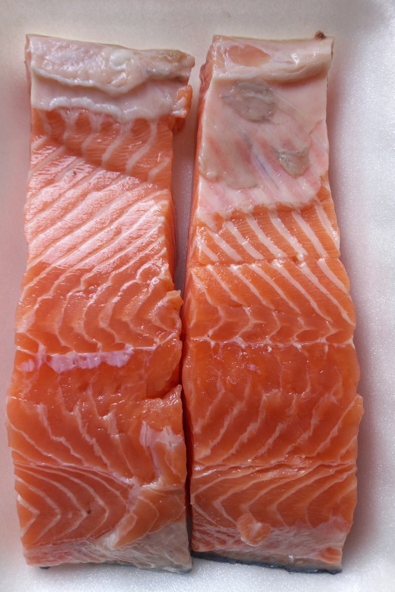 Salmón Salvaje directo de Galicia 2 Lomitos