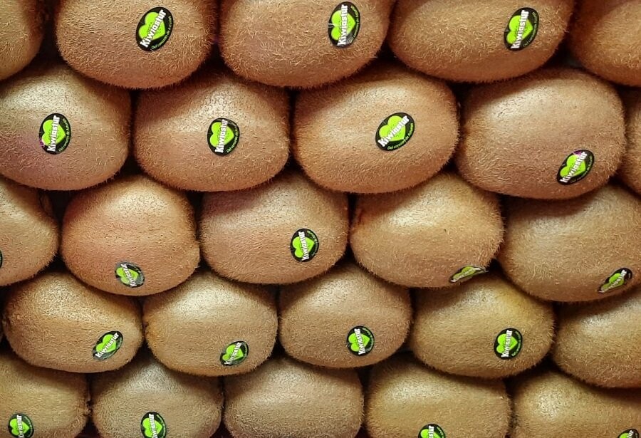 Kiwis Gold