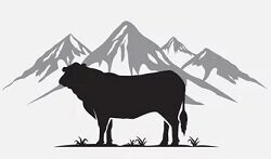 Angus