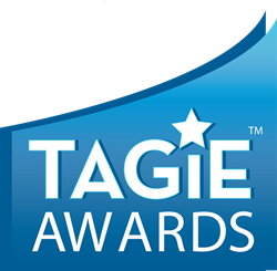 Toy and Game Innovation Excellence Awards - the TAGIEs!