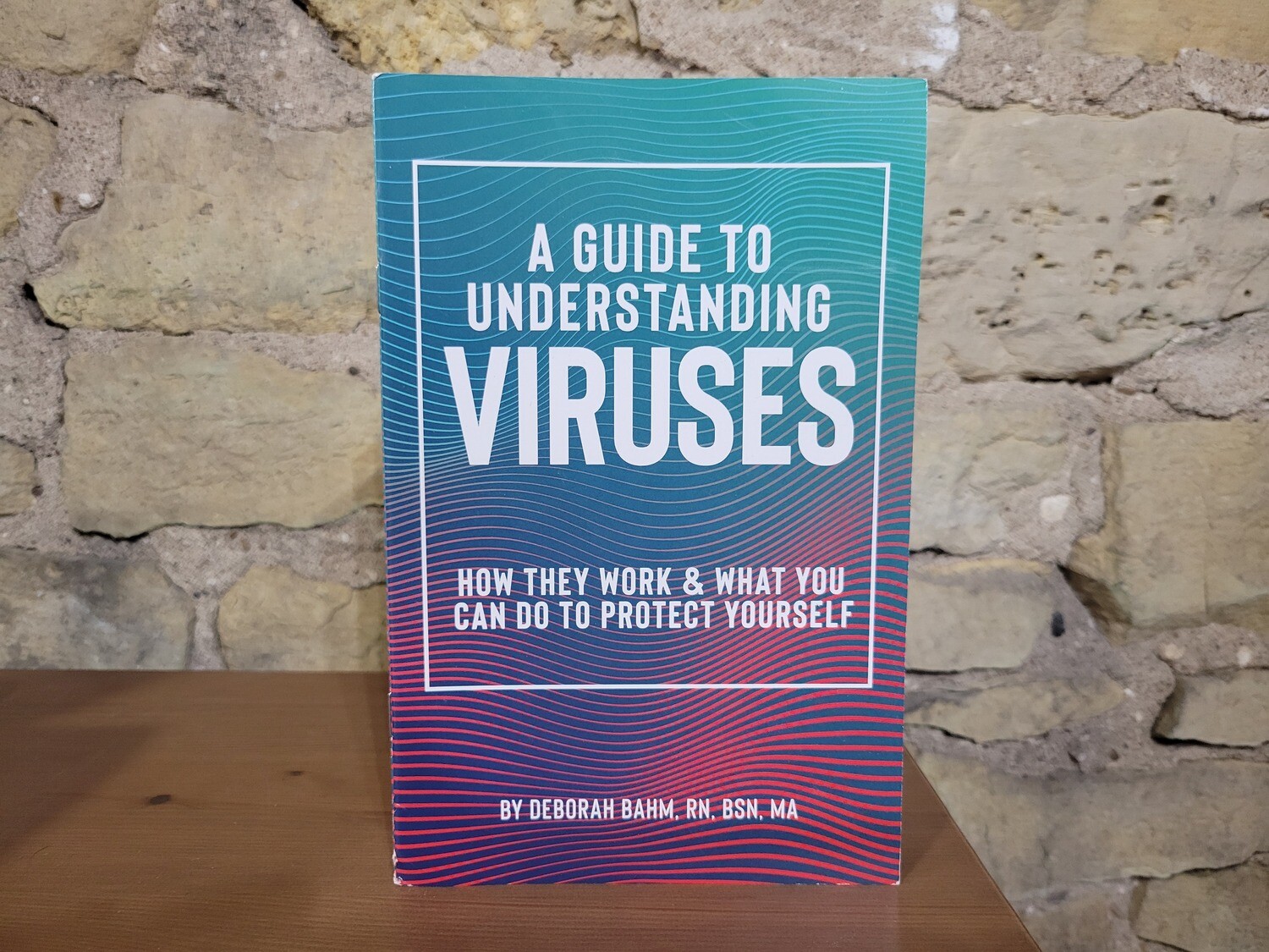 A Guide To Understanding Viruses