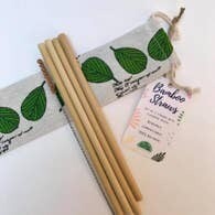 Bamboo Straws - Set of 4 with Pouch and Brush