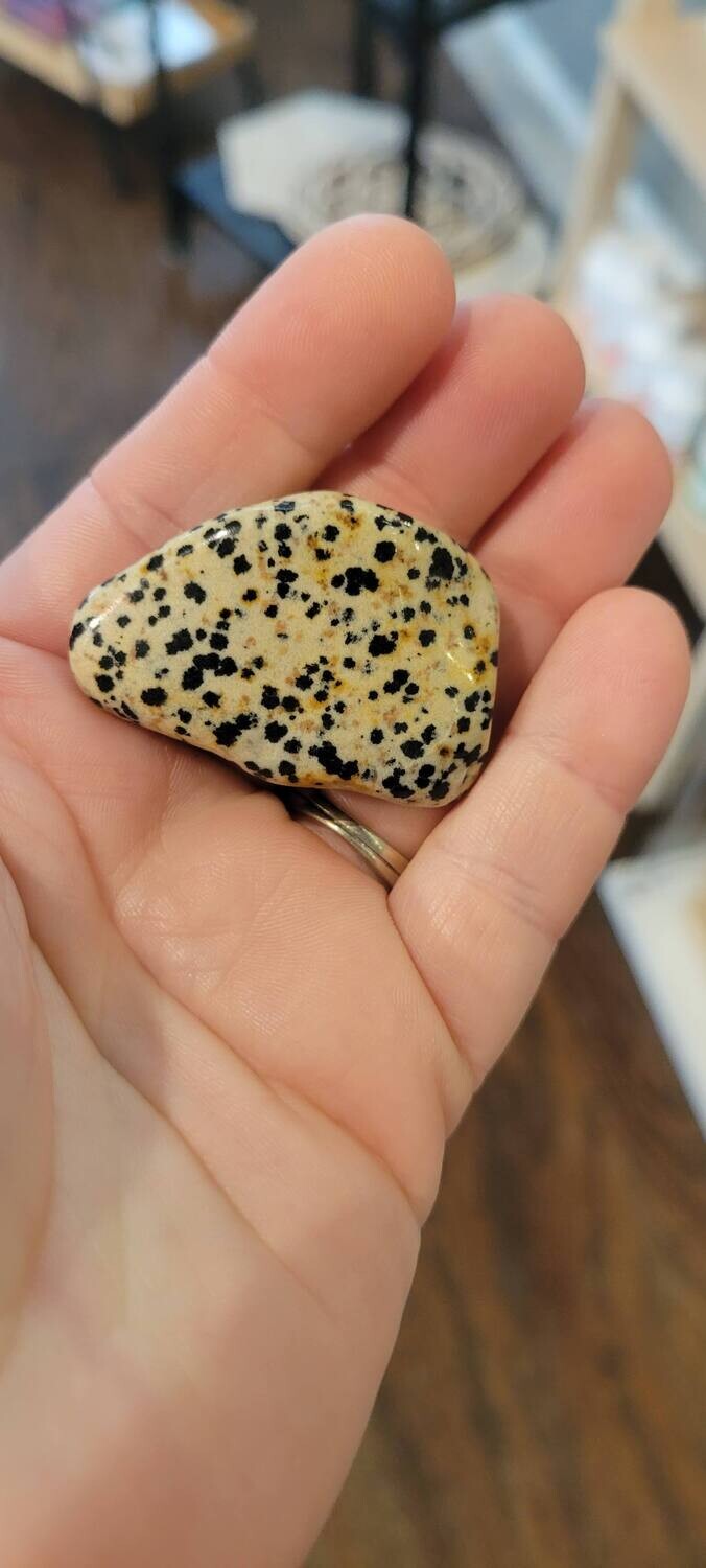 Dalmation Jasper, Polished