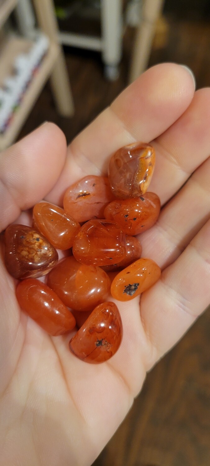 Tumbled Carnelian - S