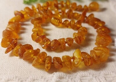 12" Raw Honey Baltic Amber Necklace 