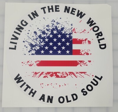 Living in the new world flag