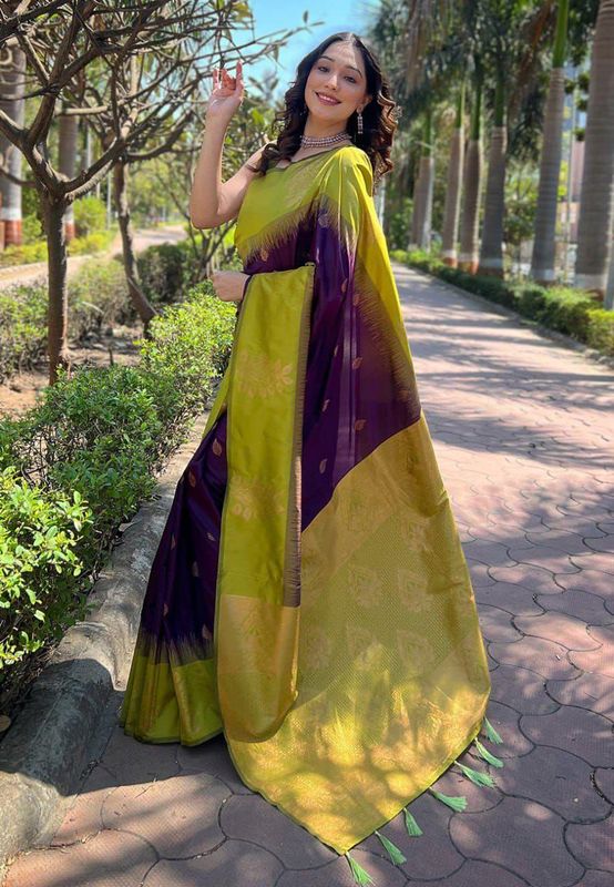 Silk sarees (2)