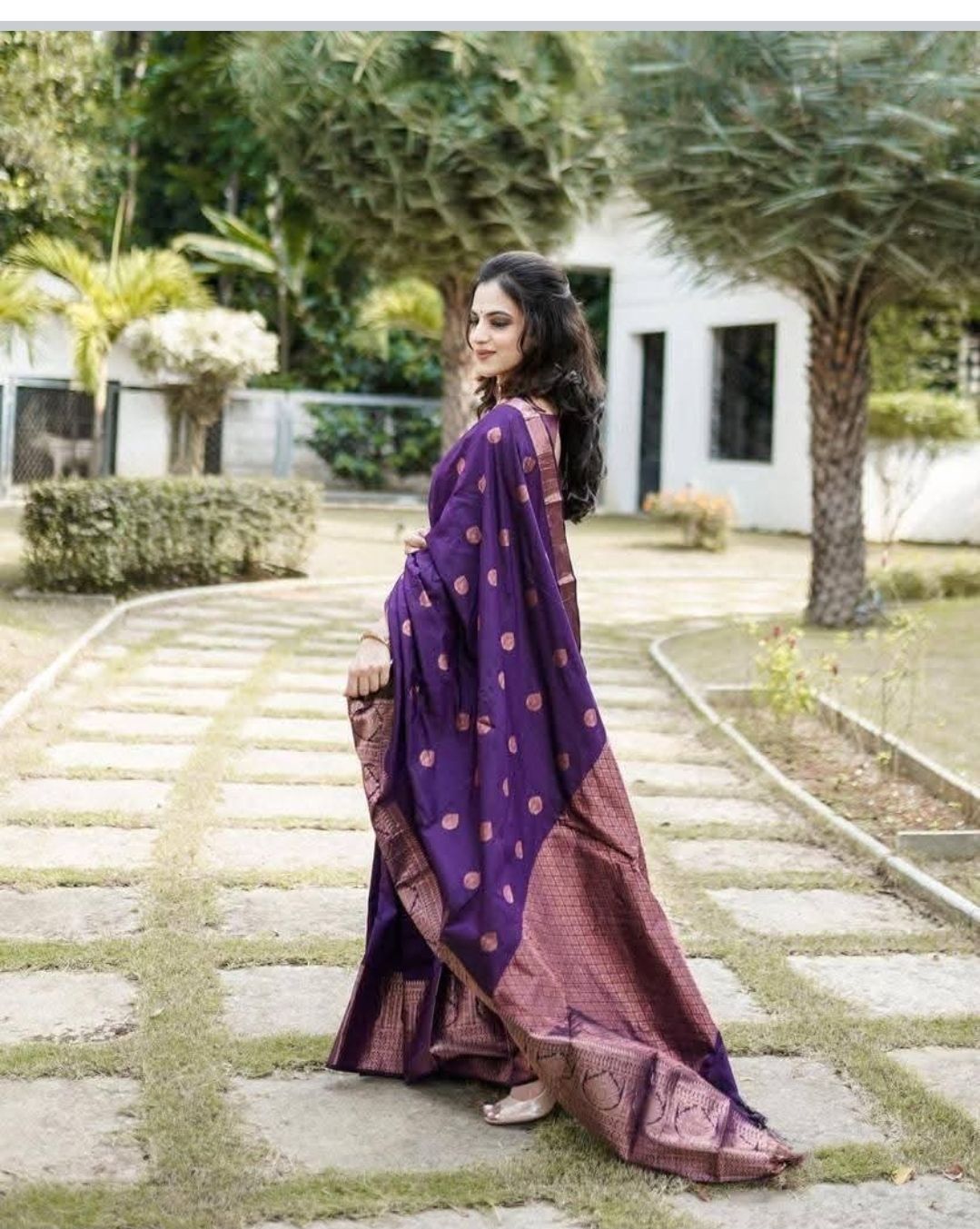 Silk sarees (2)