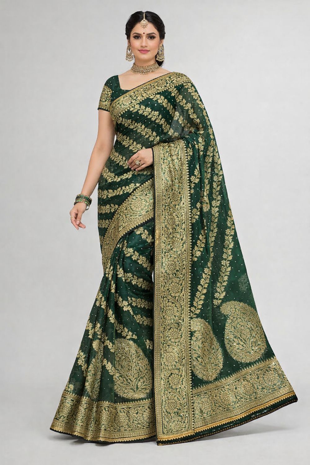 Organza silk saree (1)