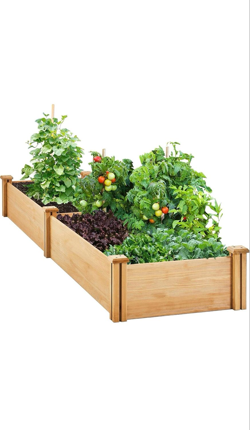 Mon kit potager