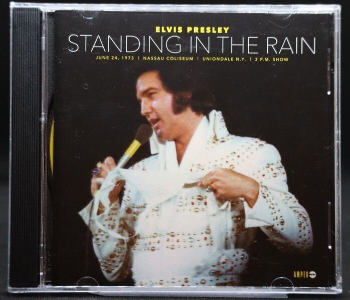 Standing In The Rain
