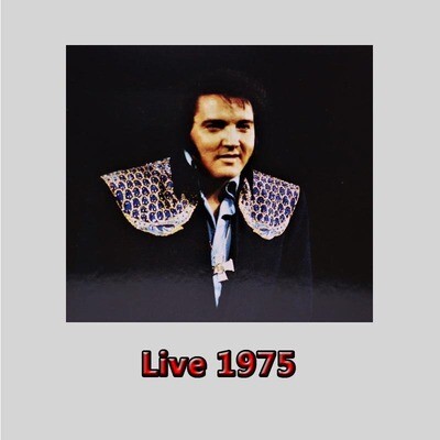 Live 1975