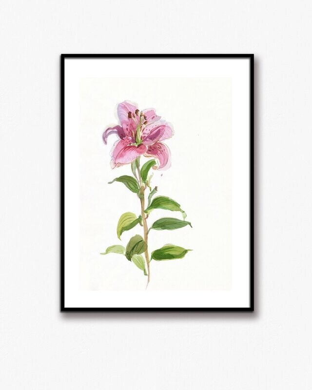 LILY SOLO | ART PRINT
