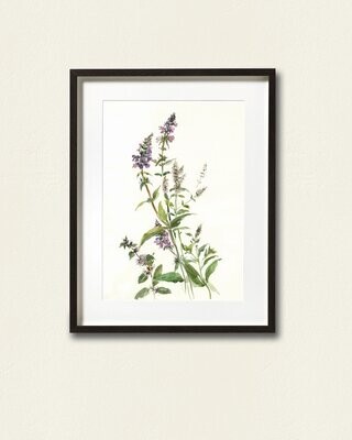 WILD FLOWERS | ART PRINT