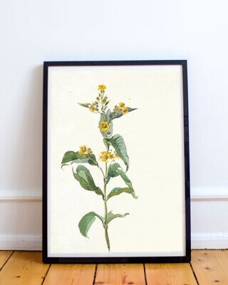 YELLOW FLOWER | ART PRINT