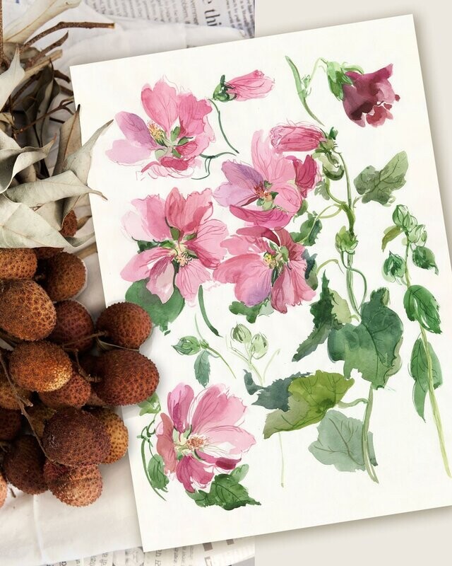 MALLOW | ART PRINT