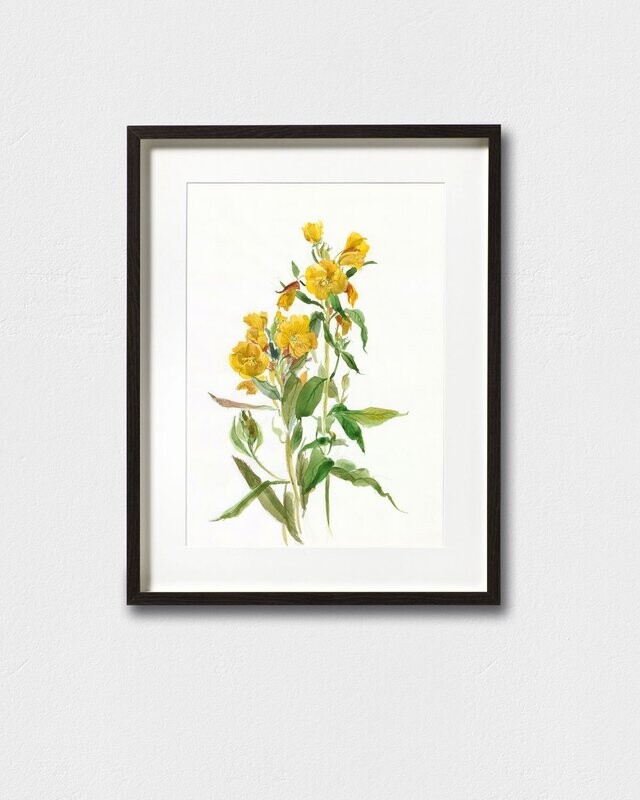 YELLOW FLOWERS | ART PRINT