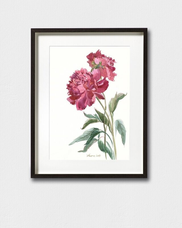 CHINESE PEONY | ART PRINT