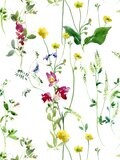 SUMMER FLOWERS | SEAMLESS PRINT