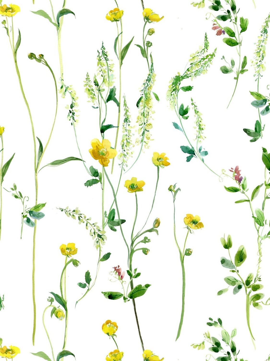 BUTTERCUPS | SEAMLESS PRINT