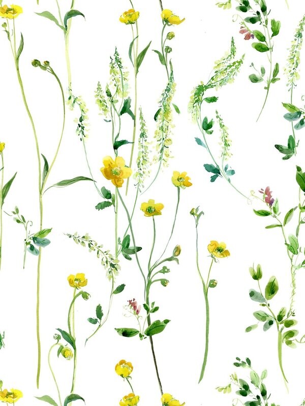 BUTTERCUPS | SEAMLESS PRINT