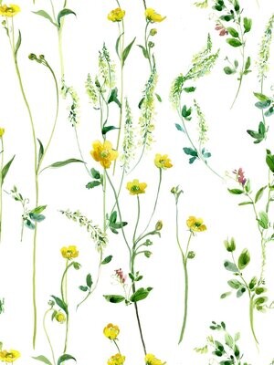 BUTTERCUPS | SEAMLESS PRINT