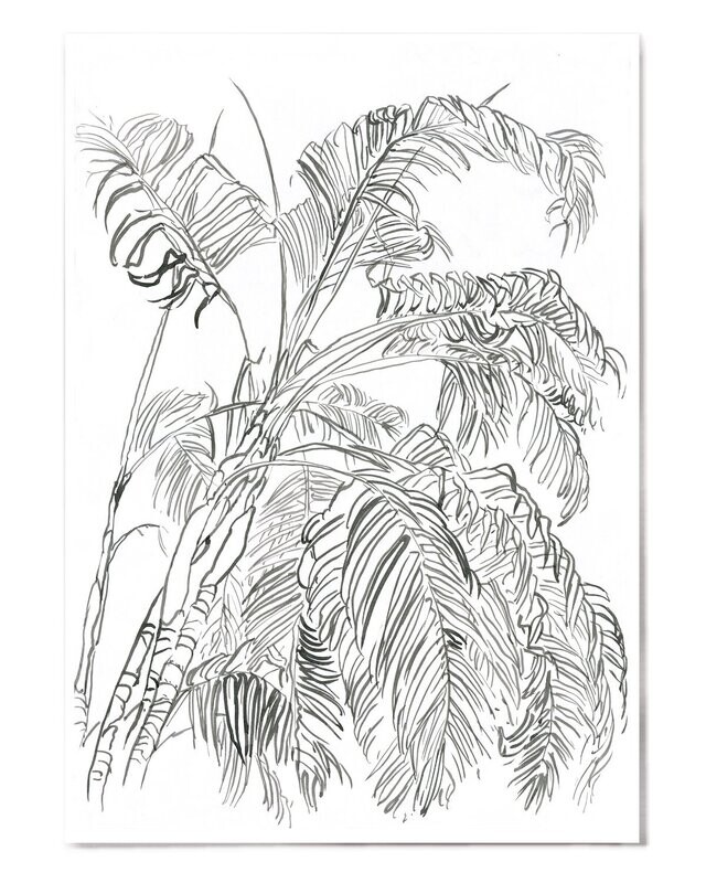 PALM SKETCH | ART PRINT