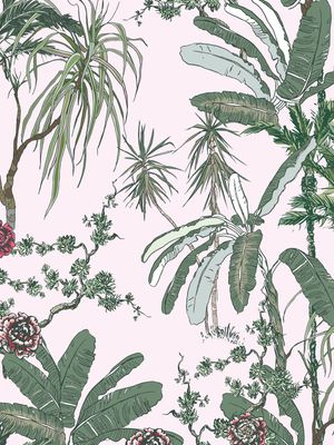 Tropical