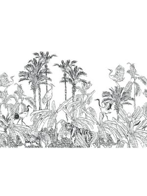 TROPICAL WILDLIFE PANORAMA | SEAMLESS PANORAMA TROPICAL WILDLIFE PANORAMA | SEAMLESS PANORAMA