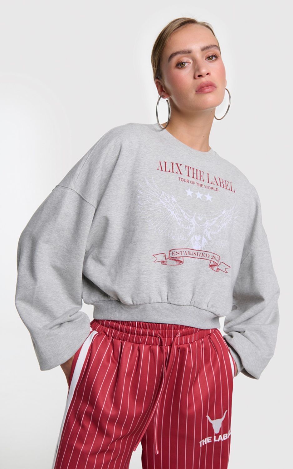 Eagle sweater grey Alix the Label #2602893603 940