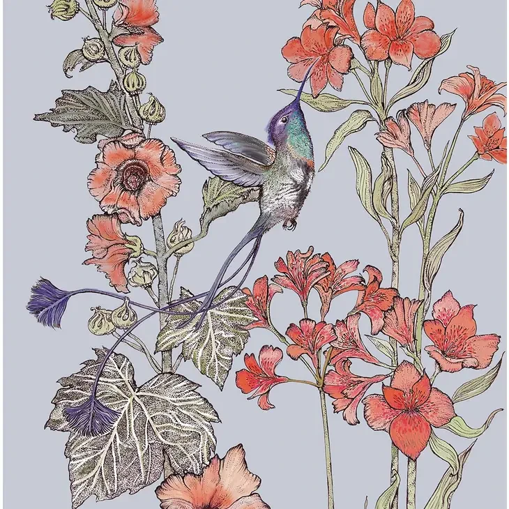 Spatuletail Hummingbird Greeting Card