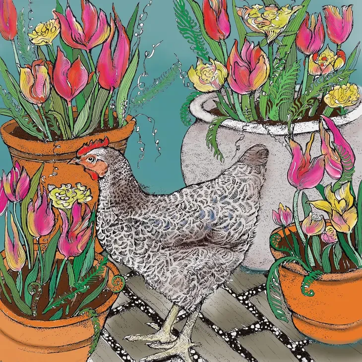 Chicken and Tulips Greeting Card