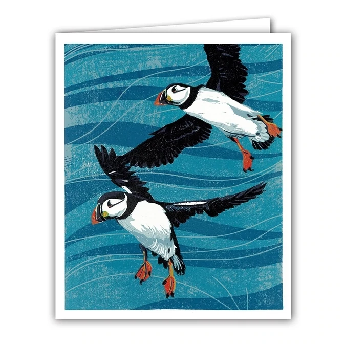 South Stack Puffins - Blank Greeting Card