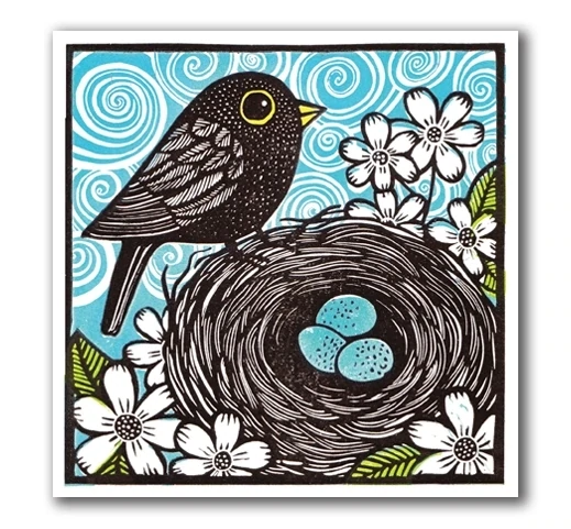 Blackbird with Eggs - Blank Greeting Card Blackbird with Eggs - Blank Greeting Card