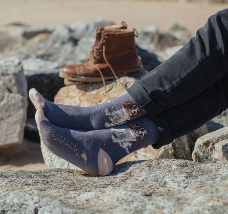 Men's Sock  - Wrendale