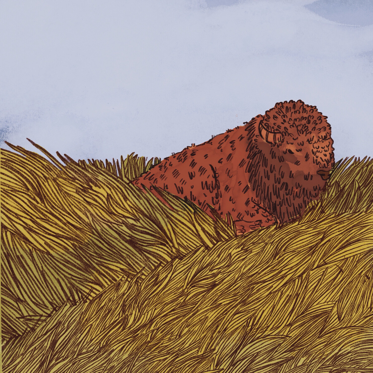 Prairie Baby