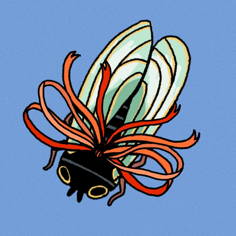 Beautiful Fly Sticker