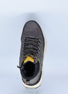 TF'S