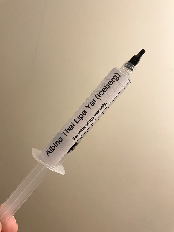 Iceberg (ATLY) LC